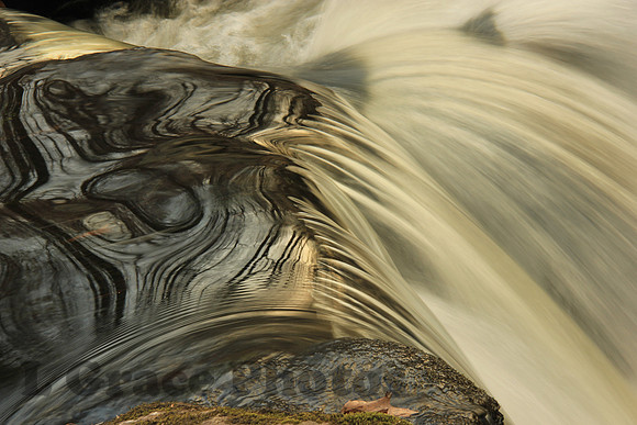 NATURAL ILLUSIONS 3