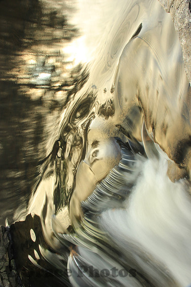 NATURAL ILLUSIONS 2