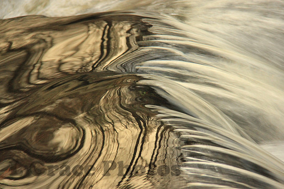 NATURAL ILLUSIONS 4