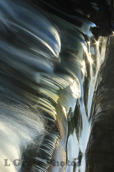 NATURAL ILLUSIONS 1