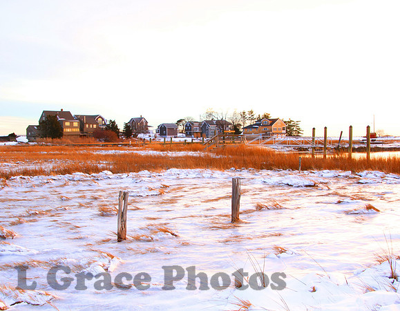 A FROZEN MARSH MADISON