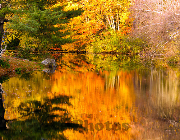 COLORS OF AUTUMN  CLINTON